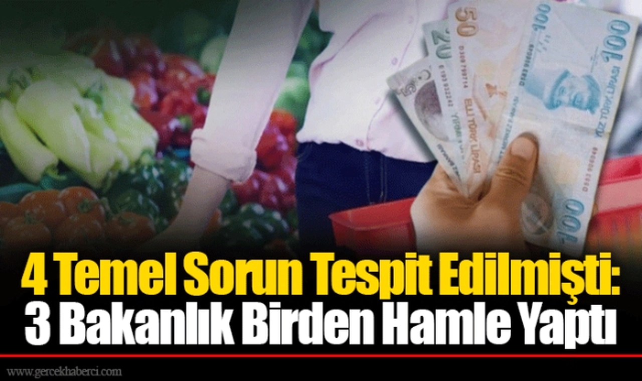 4 Temel Sorun Tespit Edilmişti: 3 Bakanlık Birden Hamle Yaptı