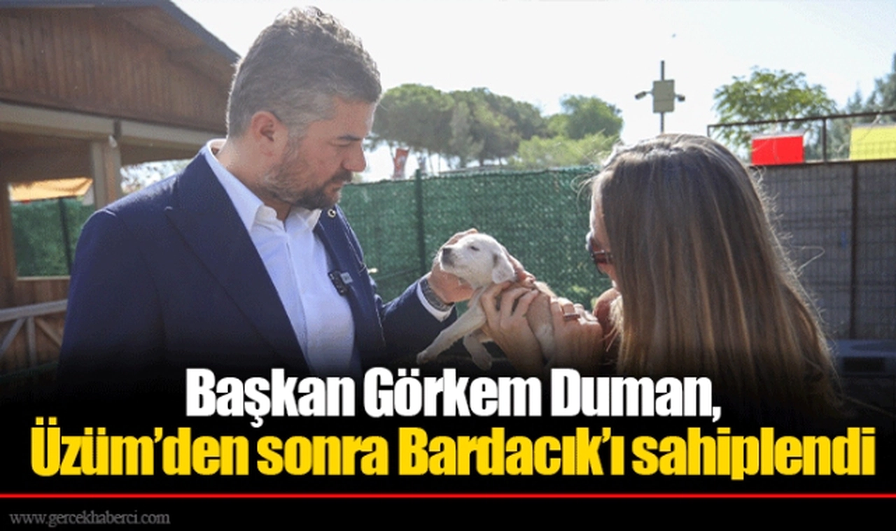 Başkan Görkem Duman, Üzüm’den sonra Bardacık’ı sahiplendi