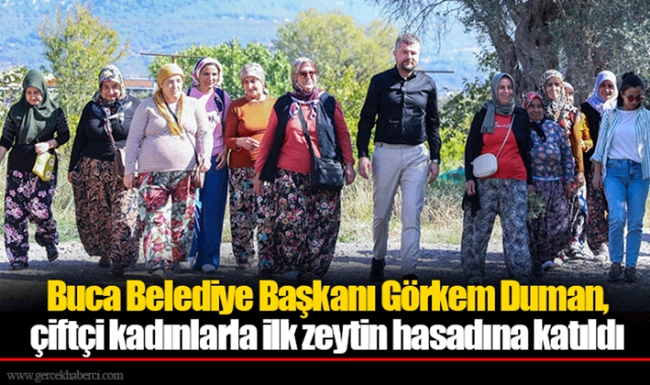 Buca Belediye Başkanı Görkem Duman, çiftçi kadınlarla ilk zeytin hasadına katıldı