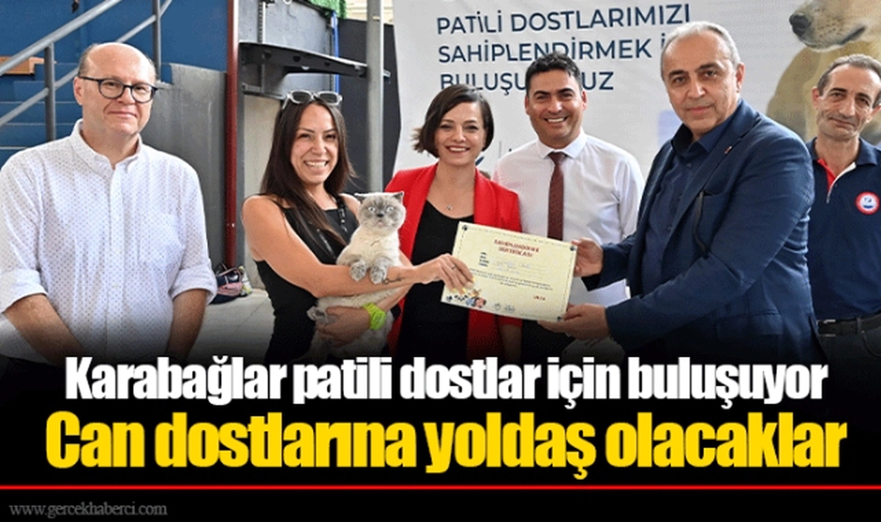 Can dostlarına yoldaş olacaklar