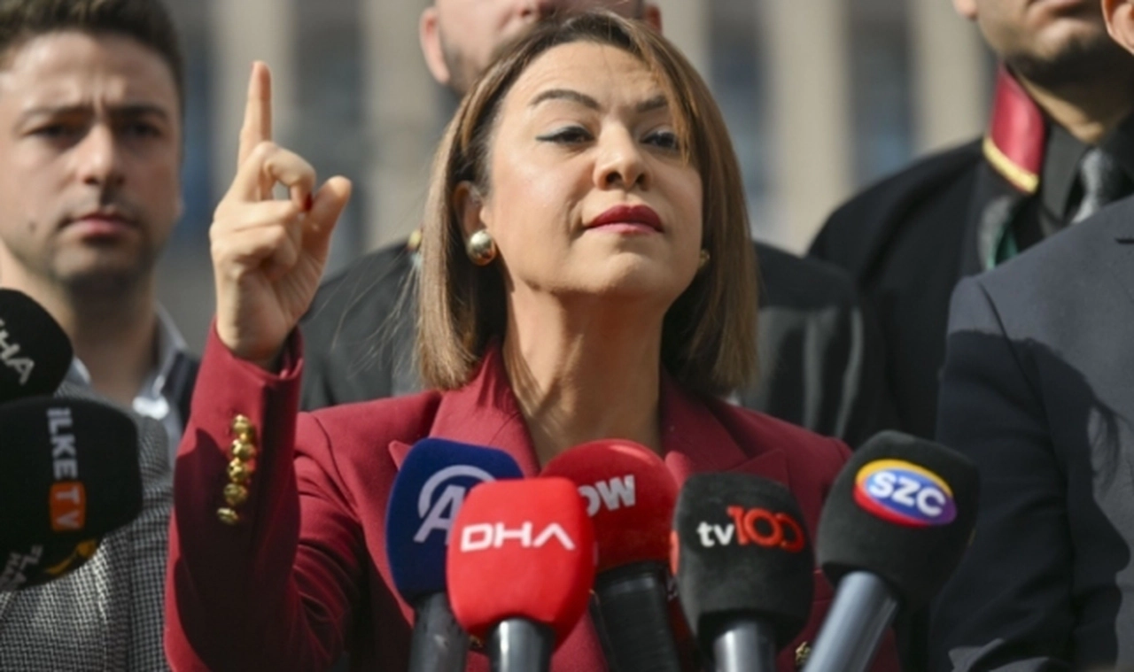 CHP'den "yenidoğan çetesi" soruşturmasına ilişkin suç duyurusu