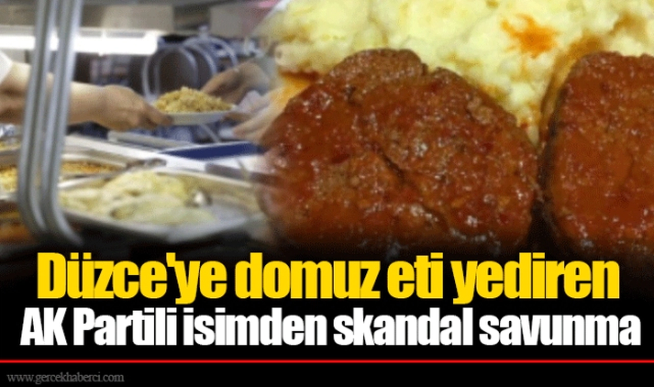 Düzce'ye domuz eti yediren AK Partili isimden skandal savunma