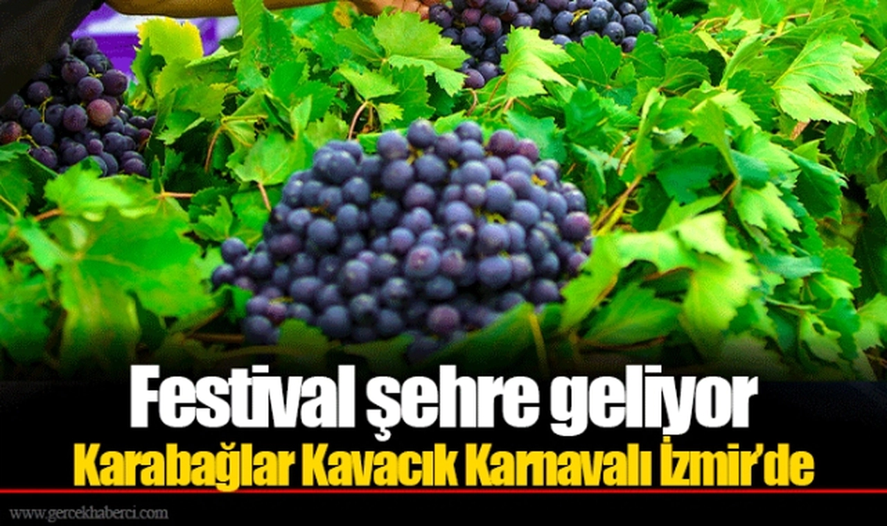Festival şehre geliyor