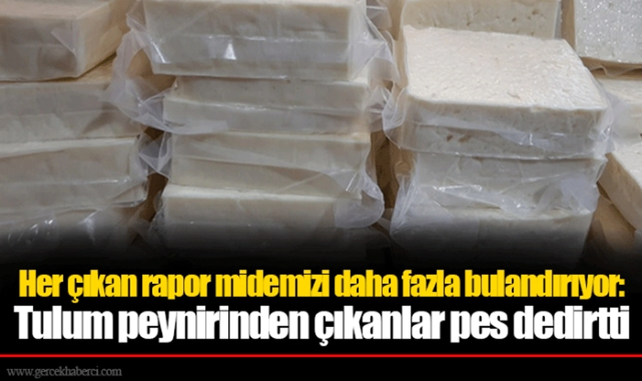 Her çıkan rapor midemizi daha fazla bulandırıyor: Tulum peynirinden çıkanlar pes dedirtti