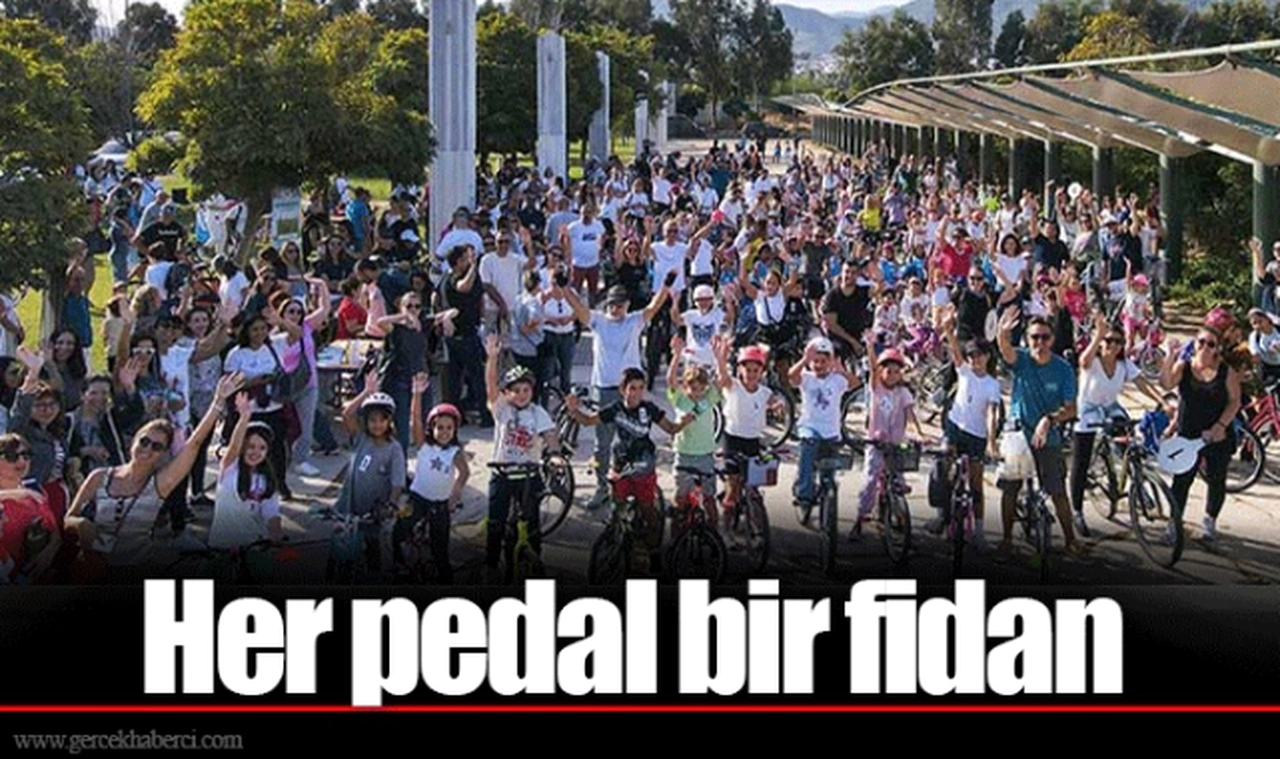 Her pedal bir fidan