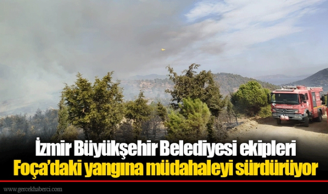 İzmir Büyükşehir Belediyesi ekipleri Foça’daki yangına müdahaleyi sürdürüyor