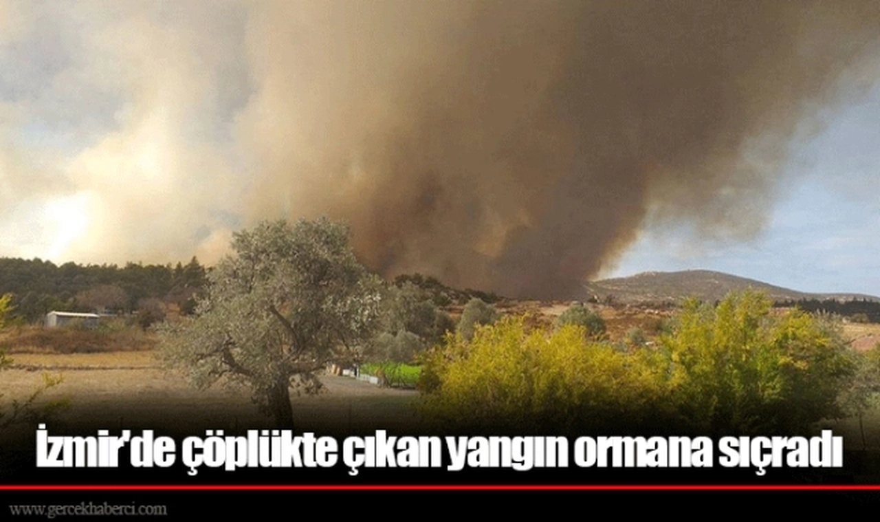 İzmir'de çöplükte çıkan yangın ormana sıçradı
