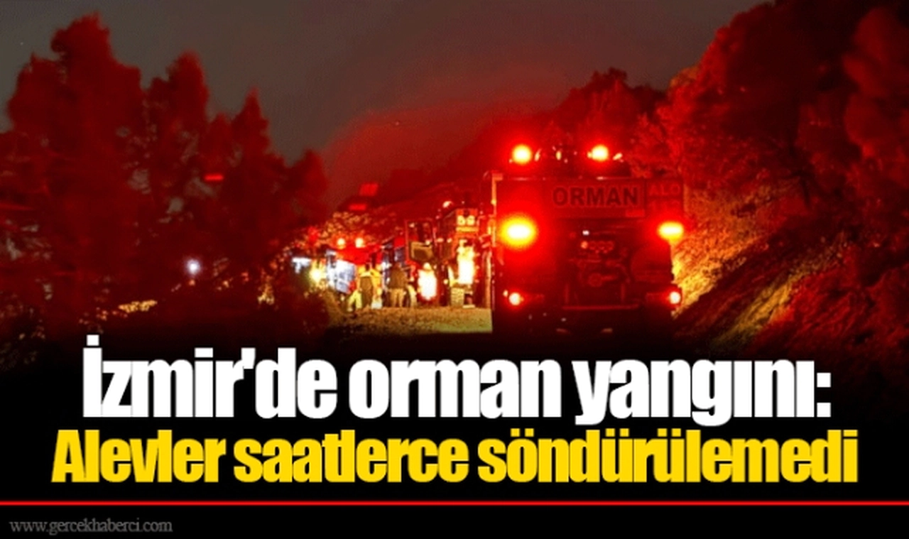 İzmir'de orman yangını: Alevler saatlerce söndürülemedi