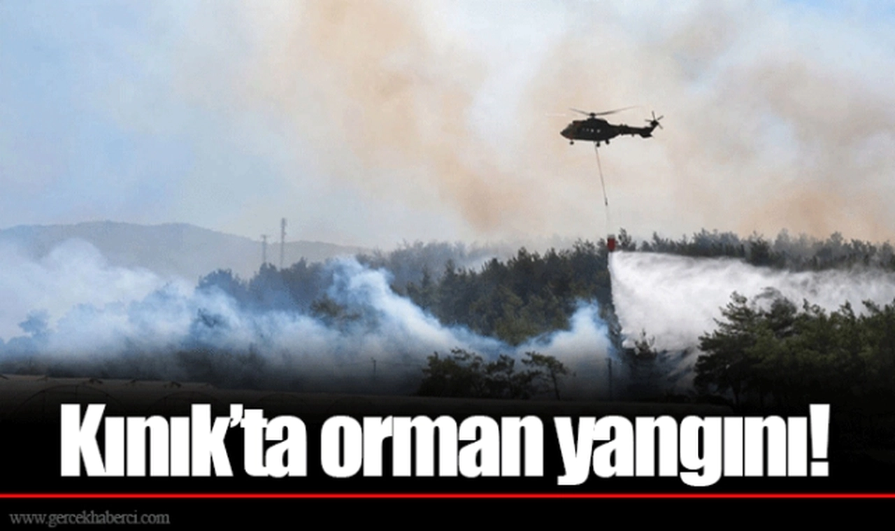 Kınık’ta orman yangını!