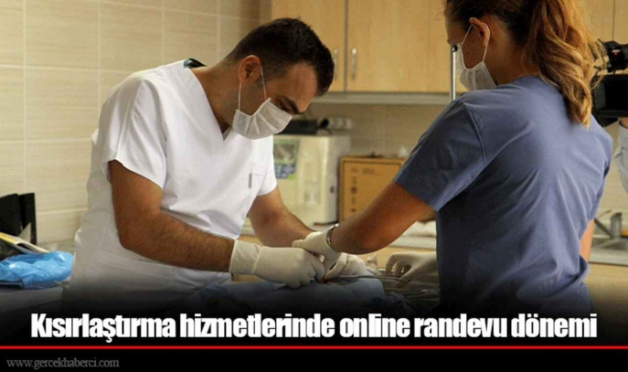 Kısırlaştırma hizmetlerinde online randevu dönemi