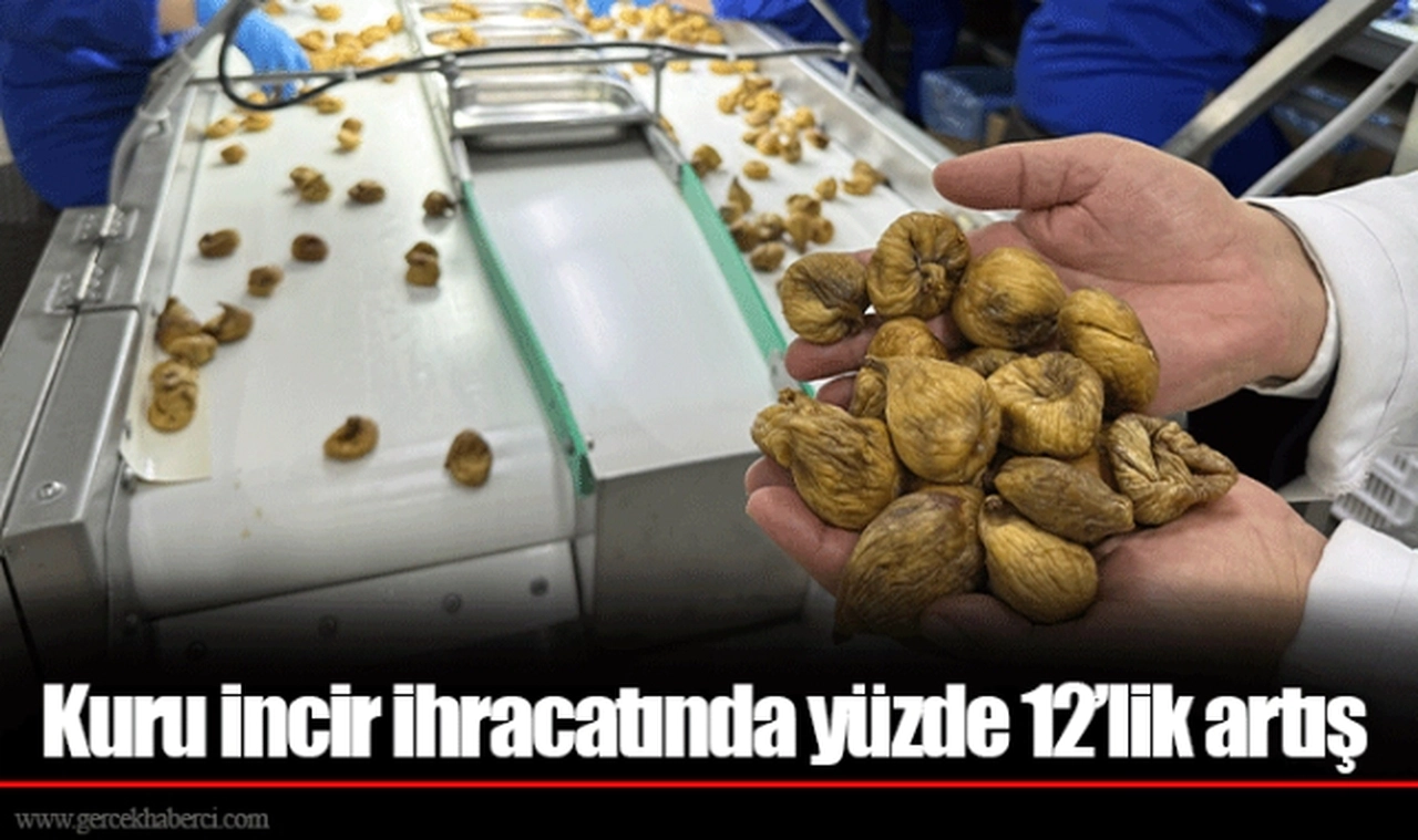 Kuru incir ihracatında yüzde 12’lik artış