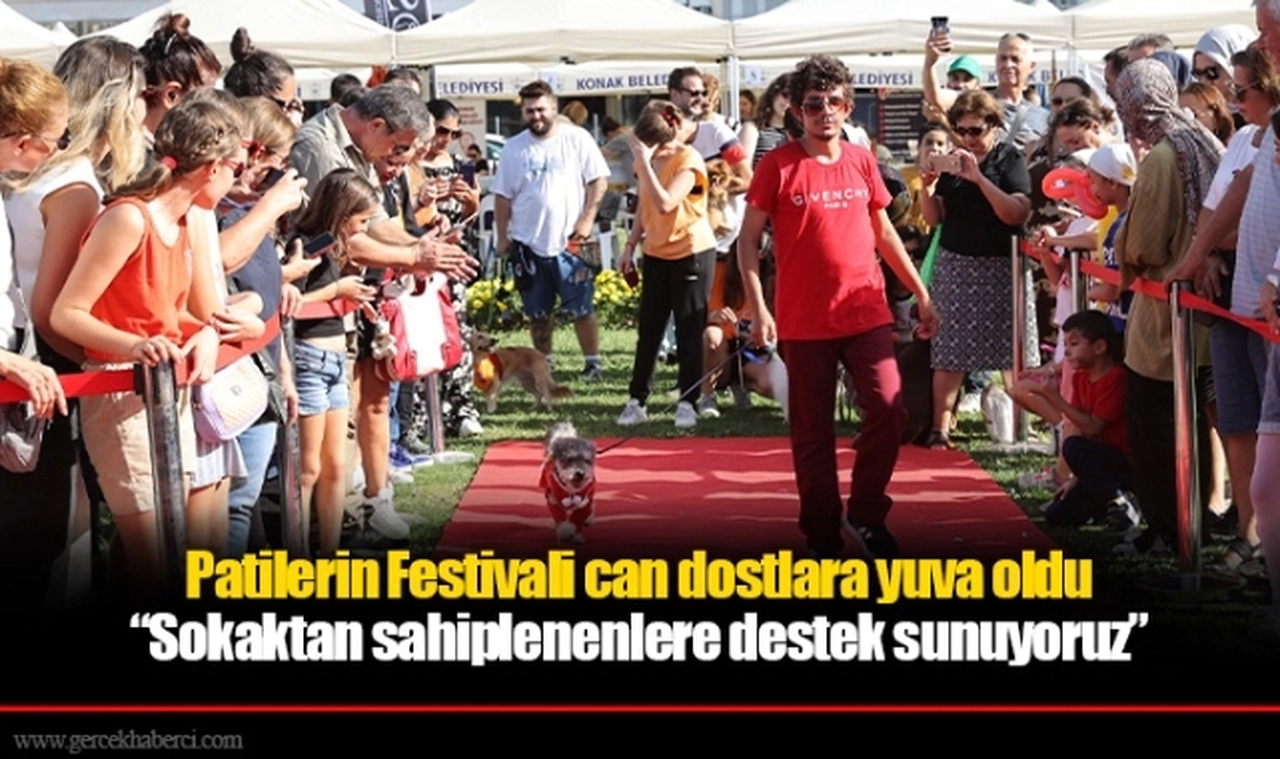 Patilerin Festivali can dostlara yuva oldu