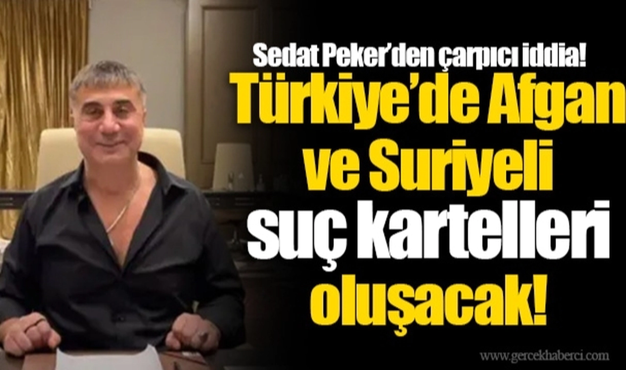 Sedat Peker'den çarpıcı iddia: Türkiye’de Afgan ve Suriyeli suç kartelleri oluşacak!