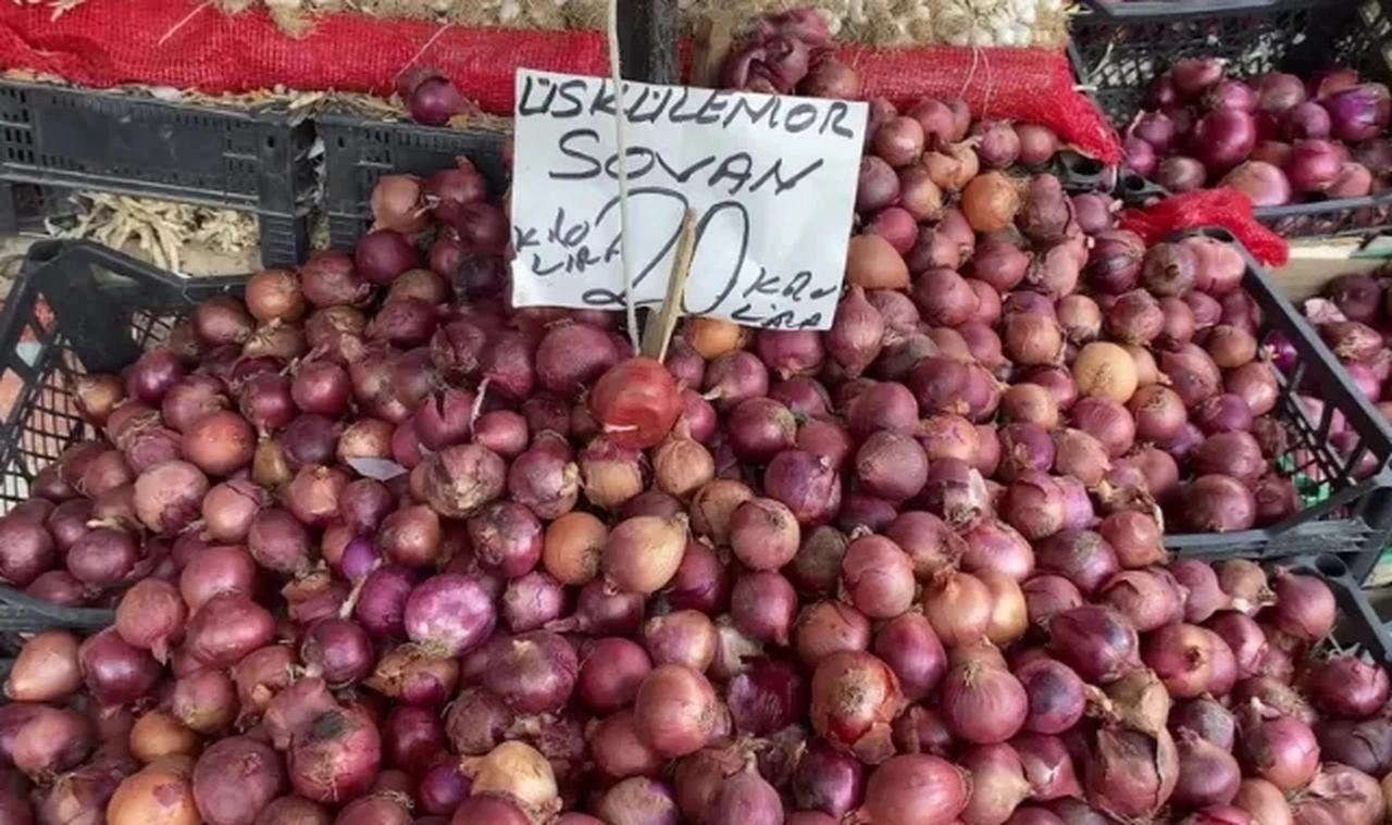 Tarlada 11 Lira, Markette 60 Lira!