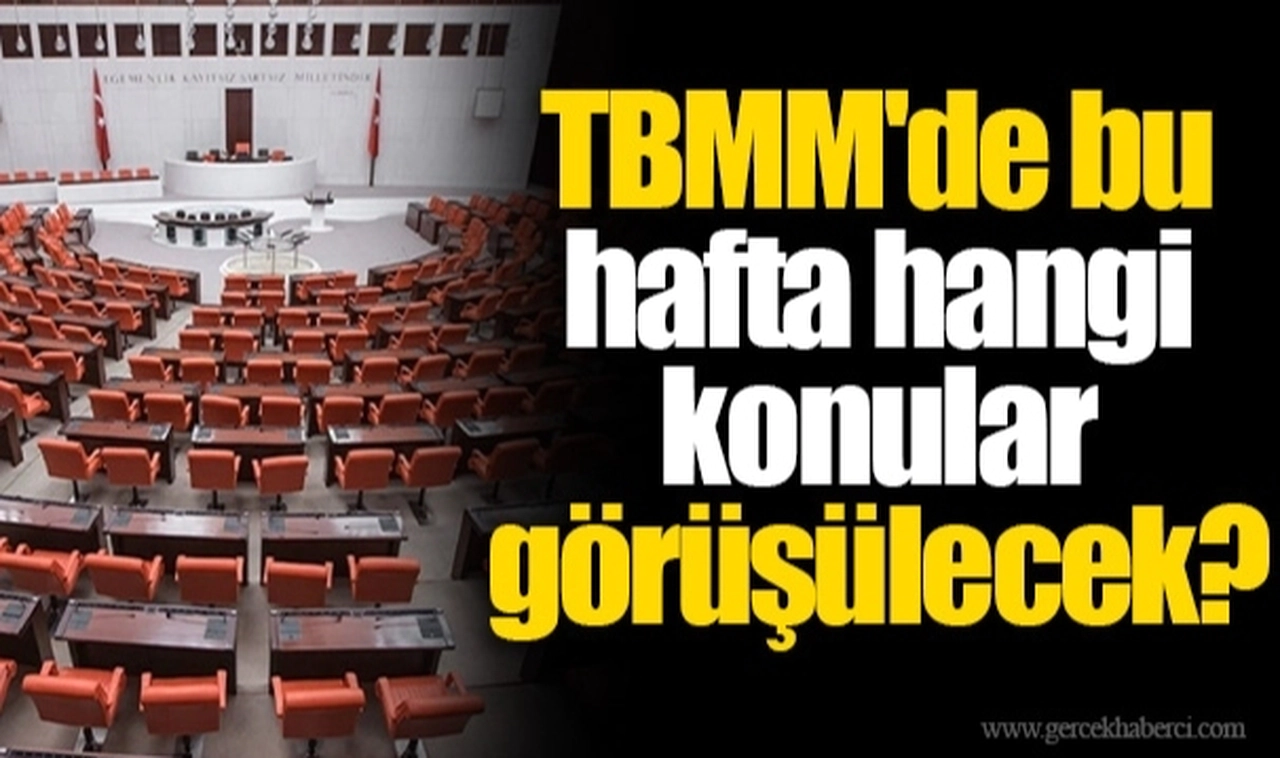 TBMM'de bu hafta hangi konular görüşülecek?