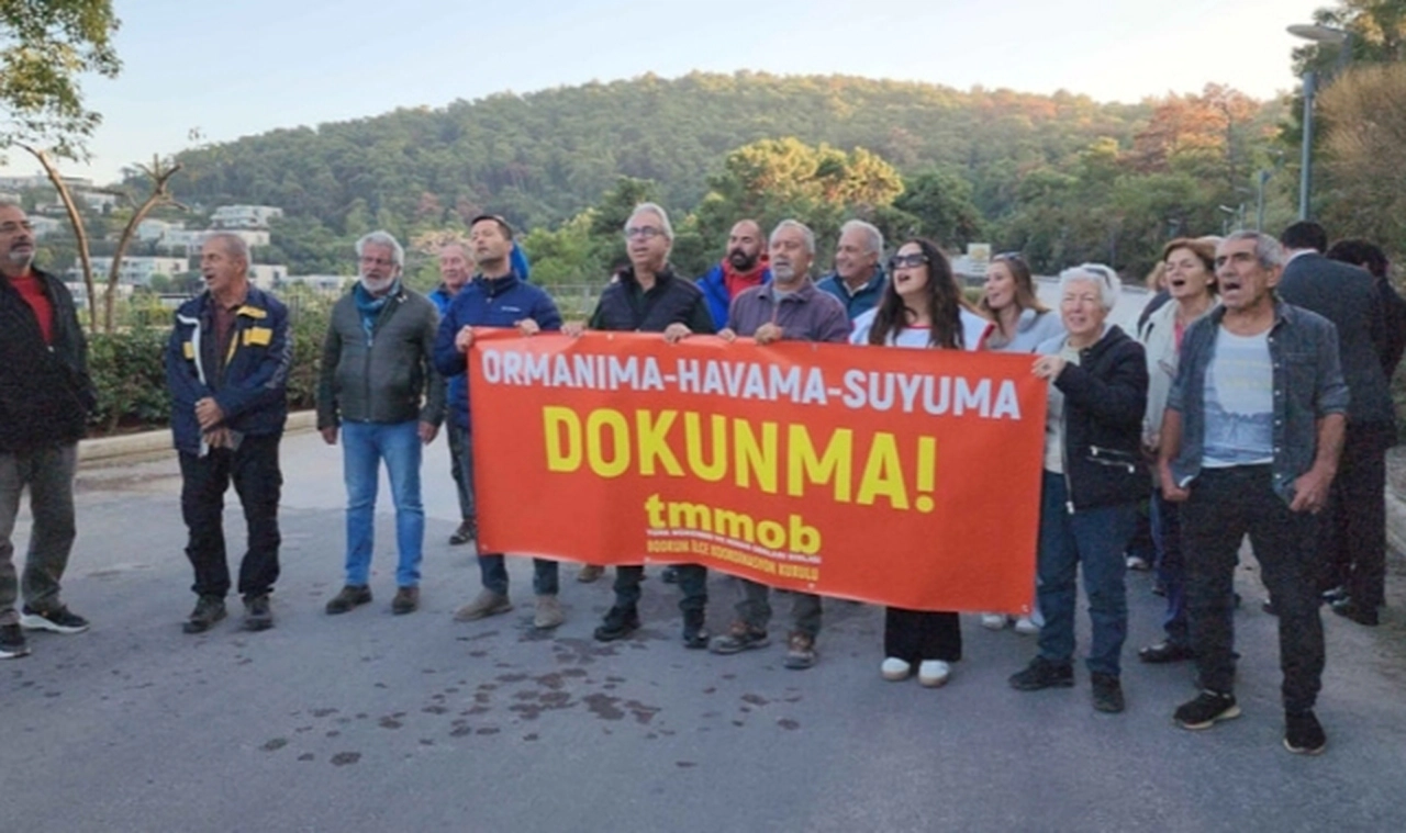 77 dönümlük ormanlık arazinin betona tahsisine sert tepki