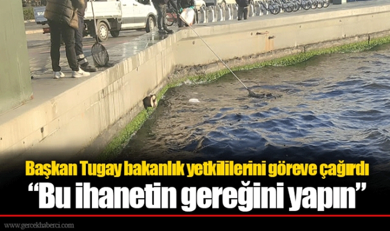 Başkan Tugay bakanlık yetkililerini göreve çağırdı  “Bu ihanetin gereğini yapın”