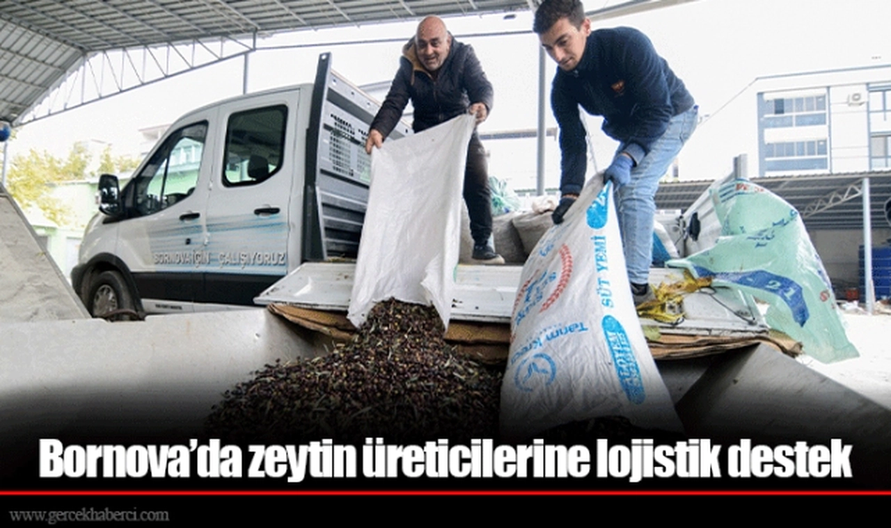 Bornova’da zeytin üreticilerine lojistik destek