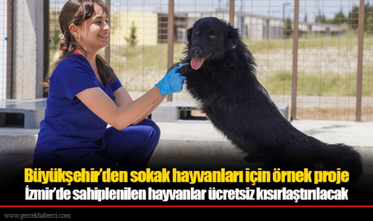 Büyükşehir’den sokak hayvanları için örnek proje
