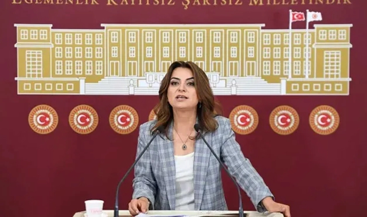 Gülistan Kılıç Koçyiğit: Meclis'e kayyımı kolaylaştıracak düzenleme getirecekler