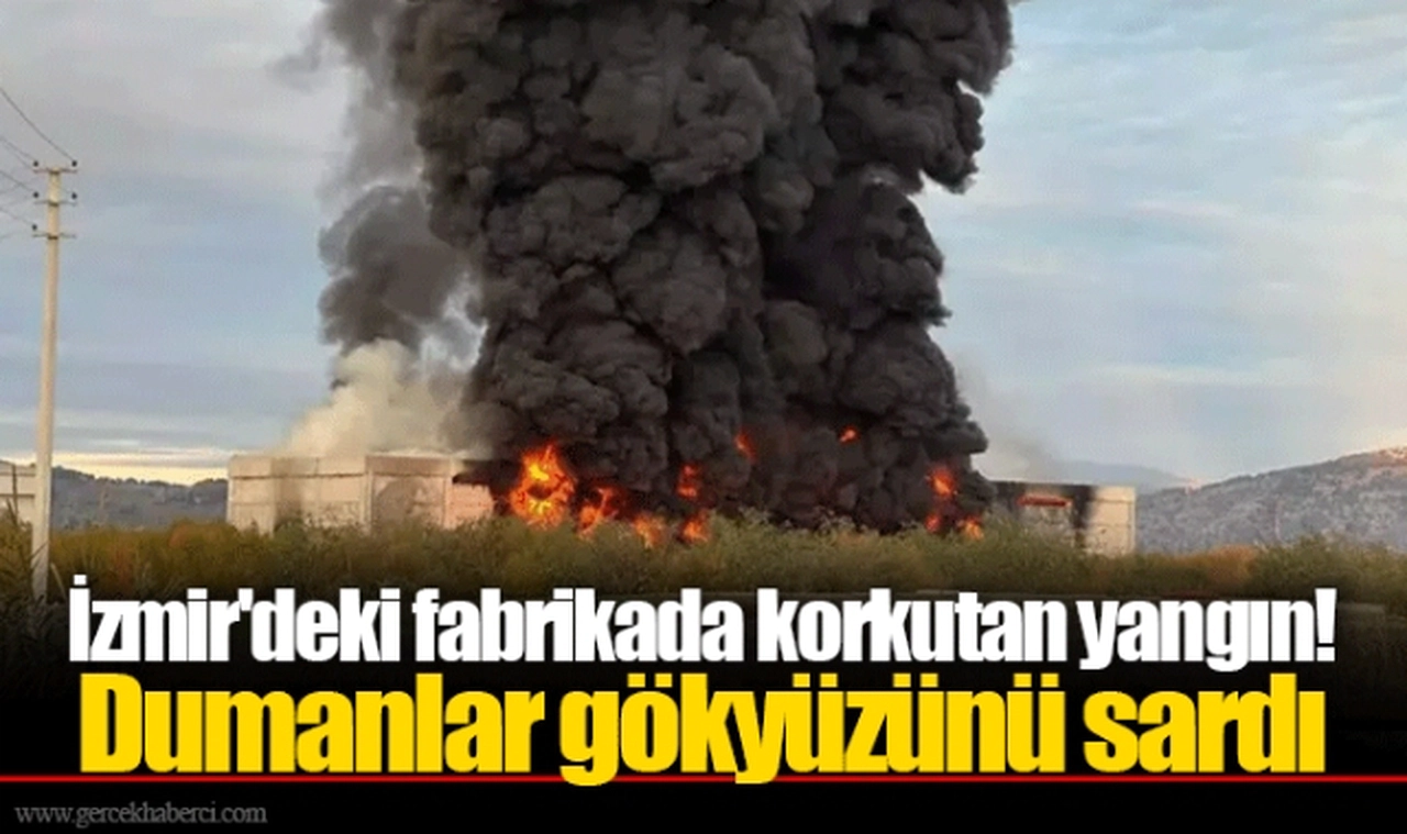 İzmir'deki fabrikada korkutan yangın! Dumanlar gökyüzünü sardı