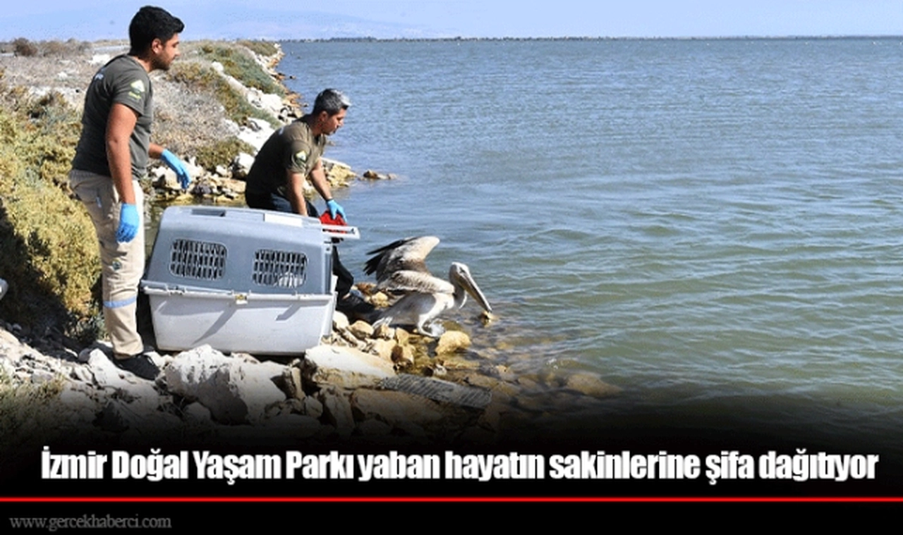 İzmir Doğal Yaşam Parkı yaban hayatın sakinlerine şifa dağıtıyor