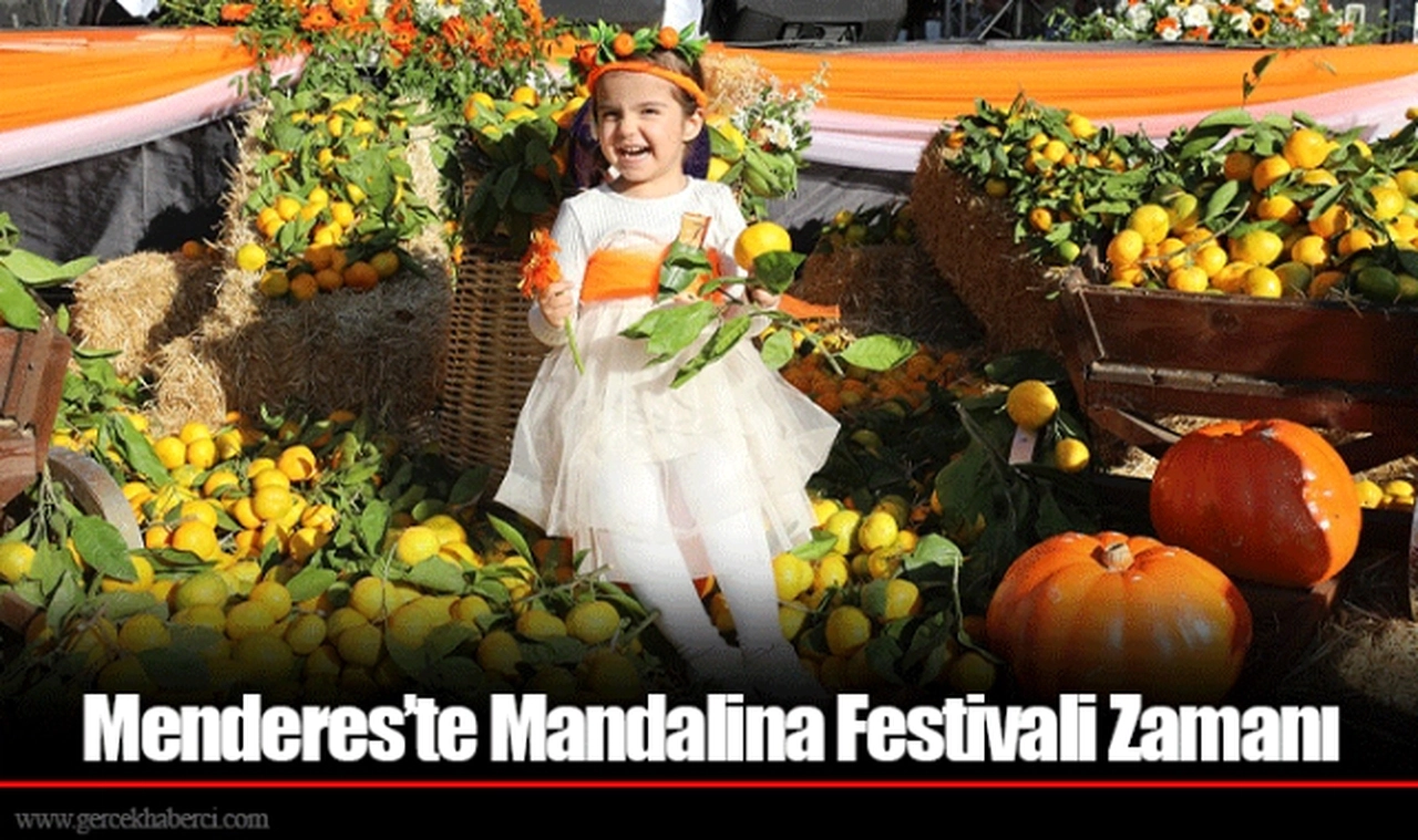 Menderes’te Mandalina Festivali Zamanı