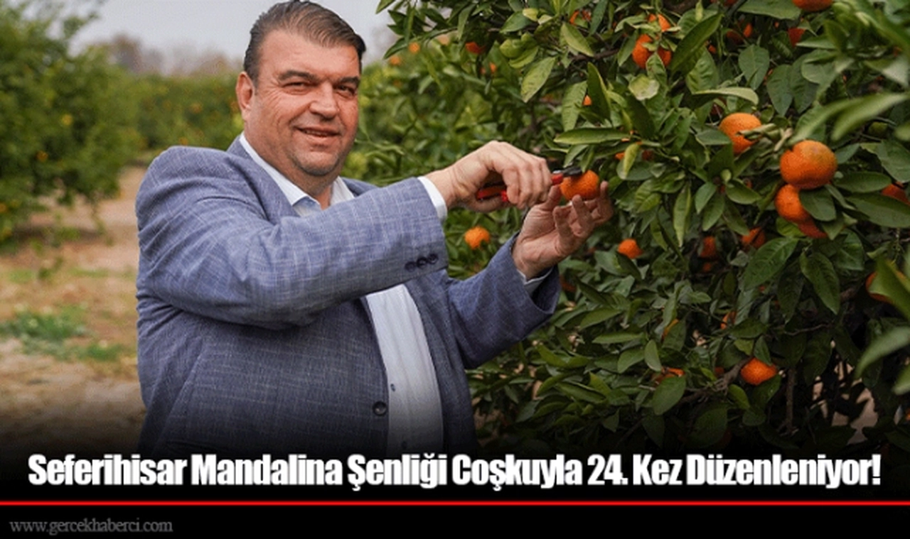 Seferihisar Mandalina Şenliği Coşkuyla 24. Kez Düzenleniyor!