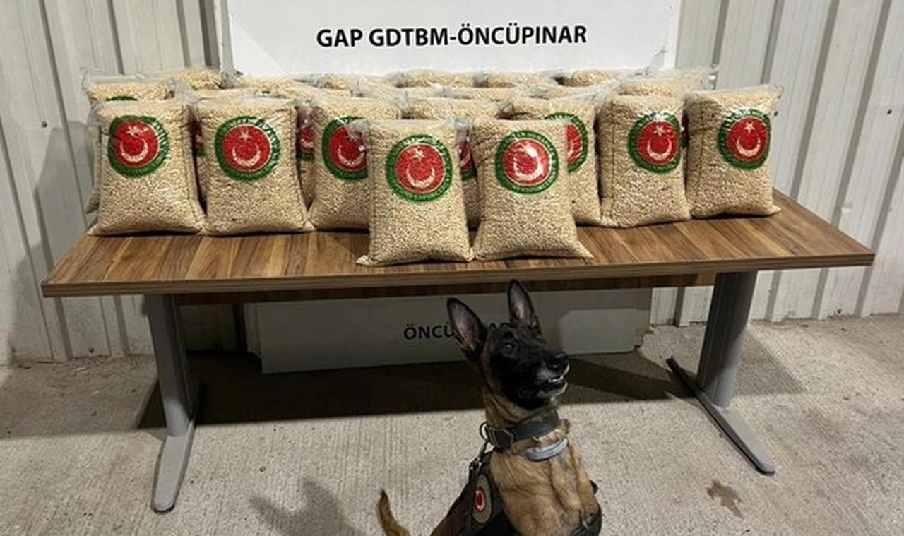 Ticaret Bakanlığı: Öncüpınar Gümrük Kapısı'ndaki operasyonlarda yaklaşık 276 milyon TL değerinde uyuşturucu ele geçirildi