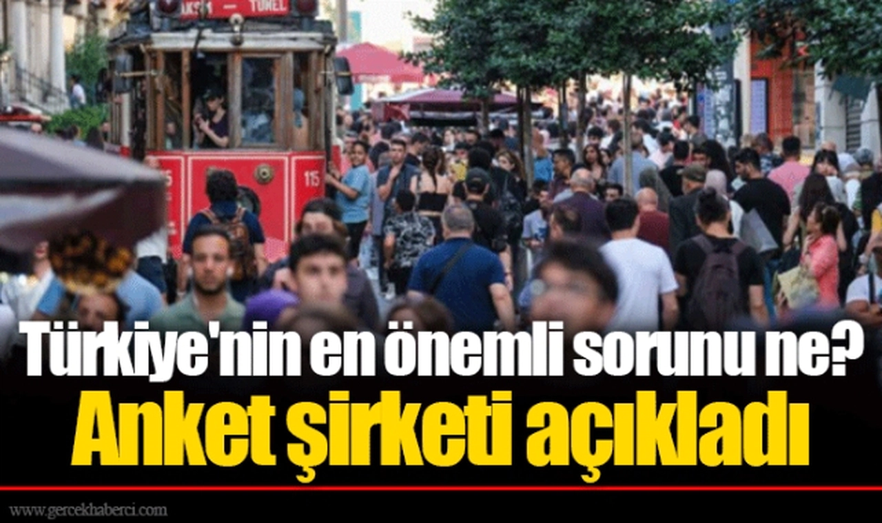 Türkiye'nin en önemli sorunu ne? Anket şirketi açıkladı