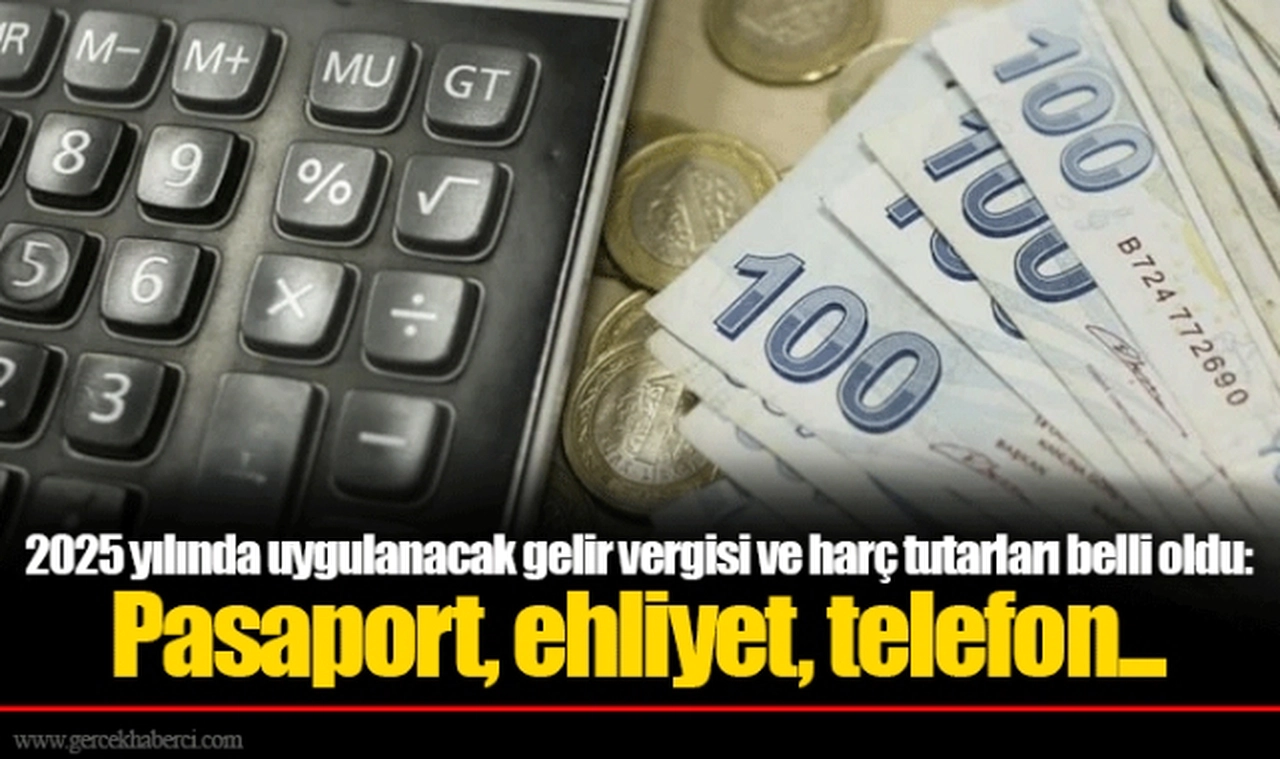2025 yılında uygulanacak gelir vergisi ve harç tutarları belli oldu: Pasaport, ehliyet, telefon...