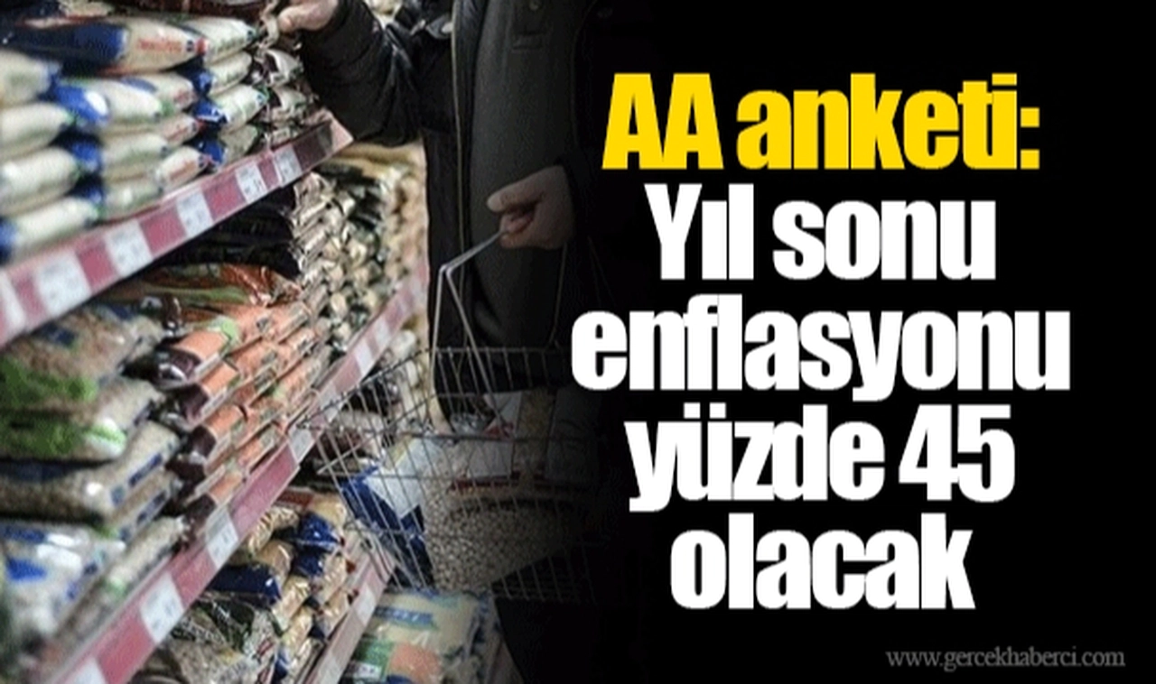 AA anketi: Yıl sonu enflasyonu yüzde 45 olacak