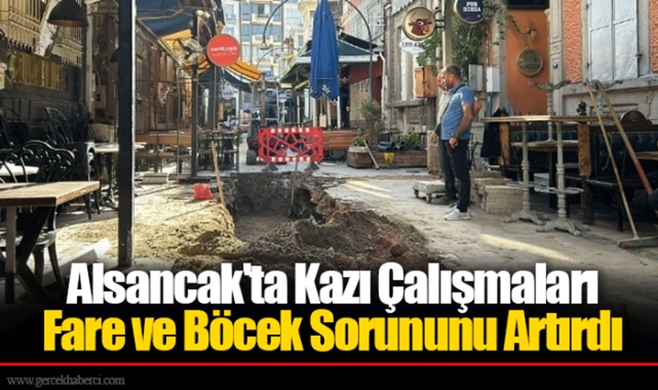 Alsancak'ta Kazı Çalışmaları Fare ve Böcek Sorununu Artırdı