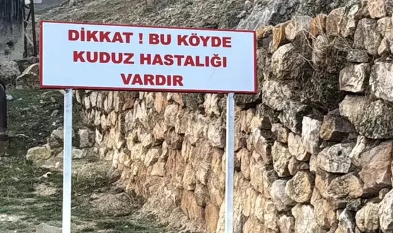 Bir köyde kuduz alarmı! Karantinaya alındı, 7 yaşındaki çocuk tedavi altında