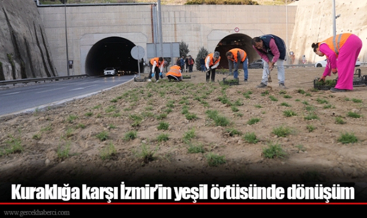 Kuraklığa karşı İzmir’in yeşil örtüsünde dönüşüm 