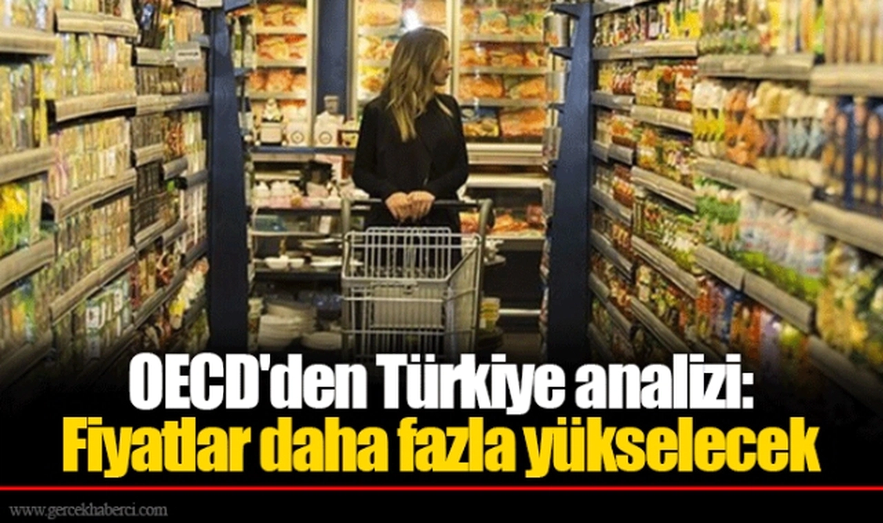 OECD'den Türkiye analizi: Fiyatlar daha fazla yükselecek