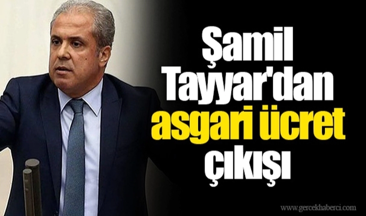 Şamil Tayyar'dan asgari ücret çıkışı