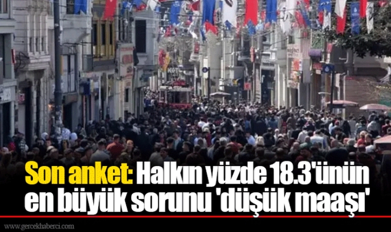 Son anket: Halkın yüzde 18.3'ünün en büyük sorunu 'düşük maaşı'