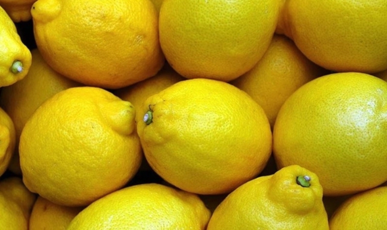 Türkiye'de limon krizi: Kimyasal madde tespit edildi... Polonya bütün limonları geri yolladı