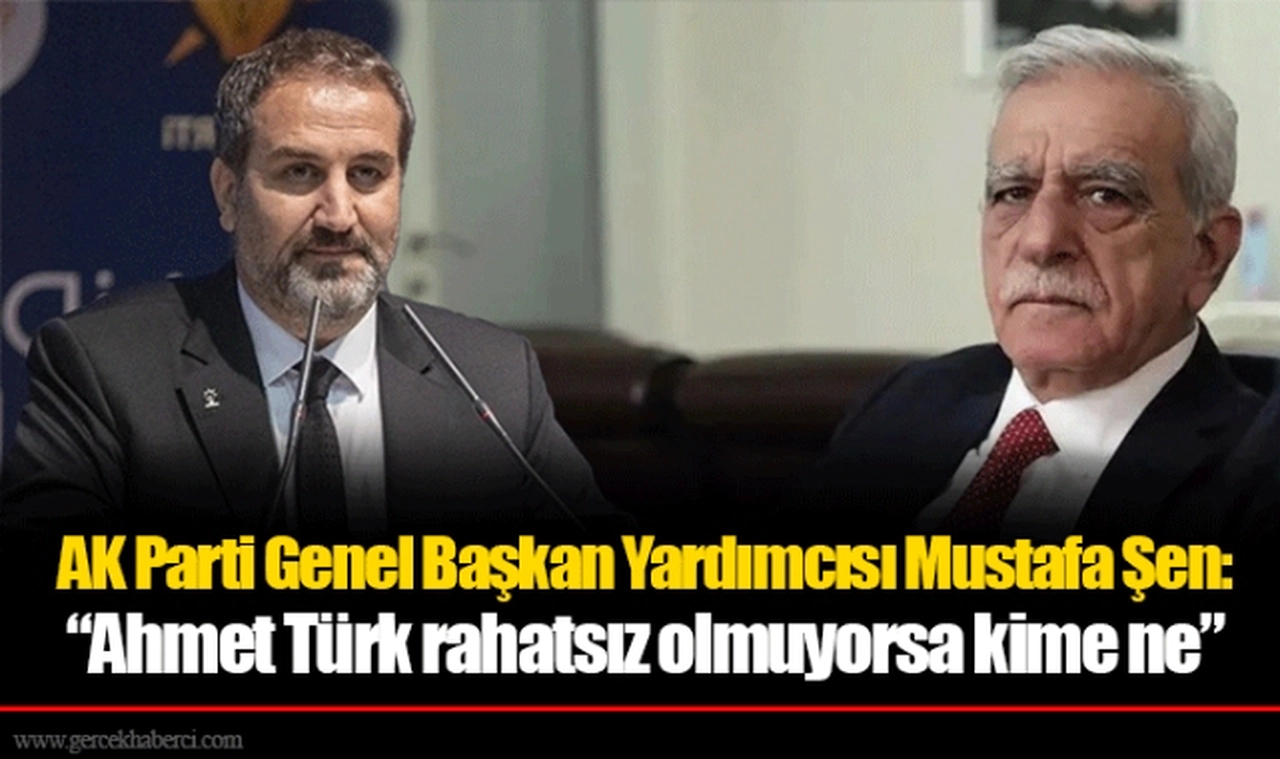 AK Parti Genel Başkan Yardımcısı Mustafa Şen: “Ahmet Türk rahatsız olmuyorsa kime ne”