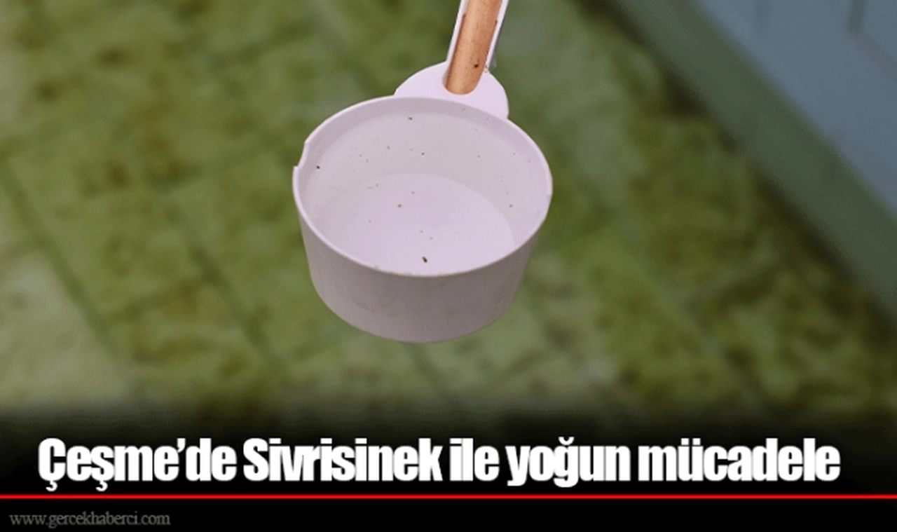 Çeşme’de Sivrisinek ile yoğun mücadele 