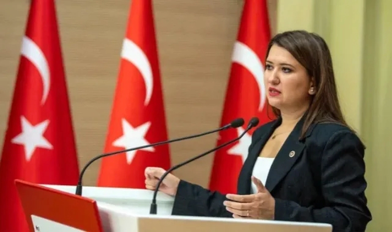 CHP'li Gökçe Gökçen'den Ayşe Barım'a Gezi eylemlerinde gözaltına alınmasına tepki: "Hepimiz Gezi’deydik"