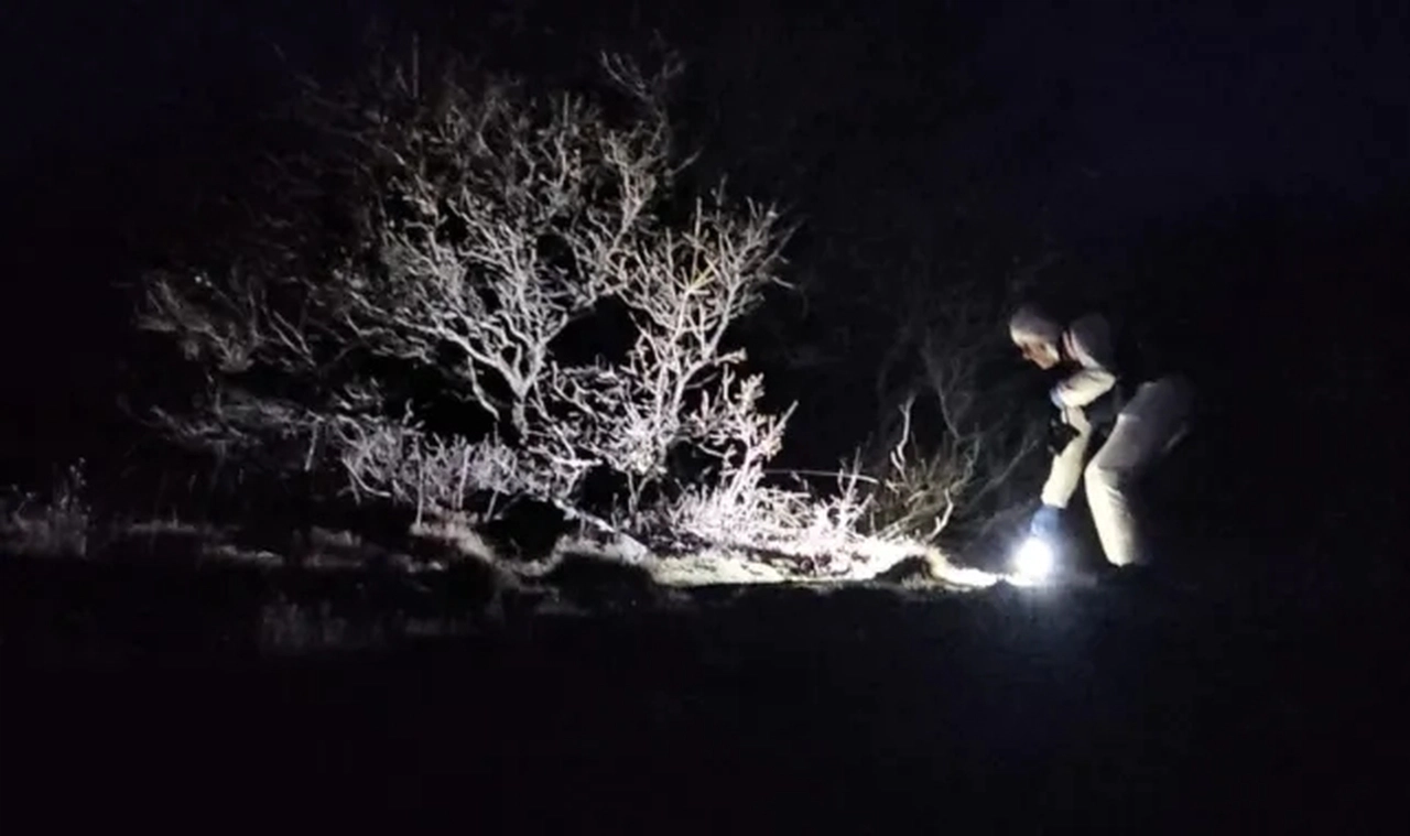 Çorum'da ormanlık alanda kimliği belirsiz erkek cesedi bulundu
