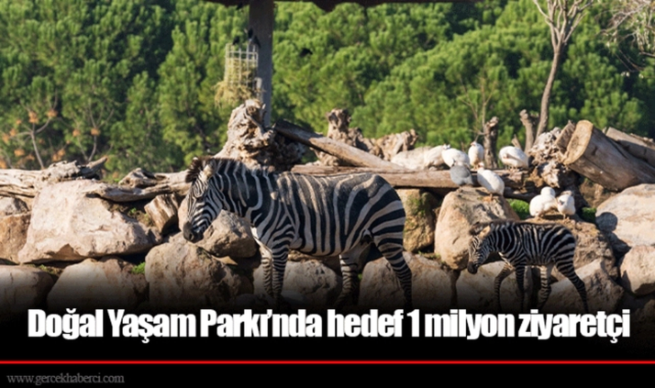 Doğal Yaşam Parkı’nda hedef 1 milyon ziyaretçi