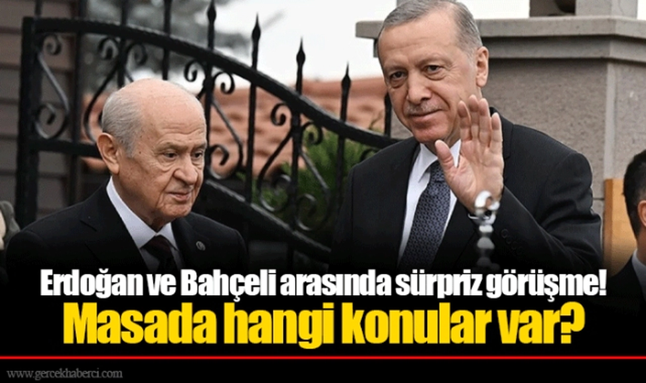 Erdoğan ve Bahçeli arasında sürpriz görüşme! Masada hangi konular var?