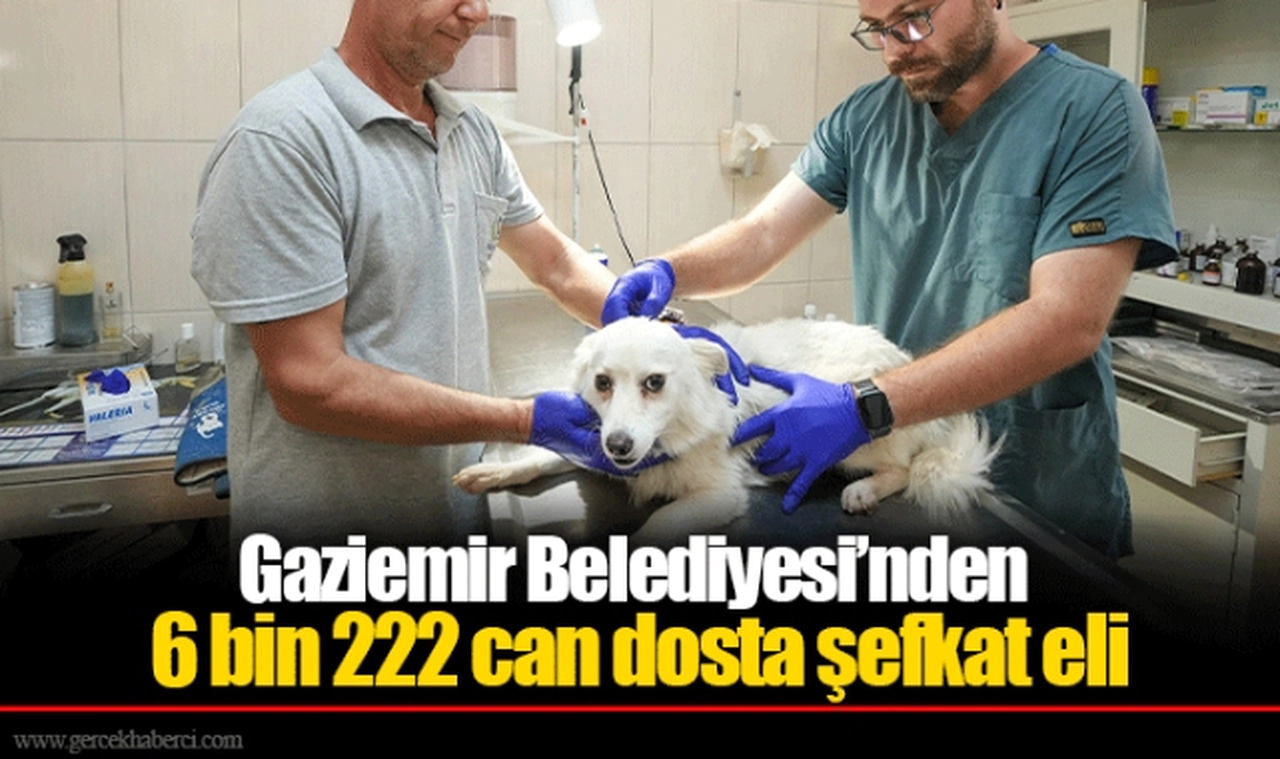 Gaziemir Belediyesi’nden 6 bin 222 can dosta şefkat eli