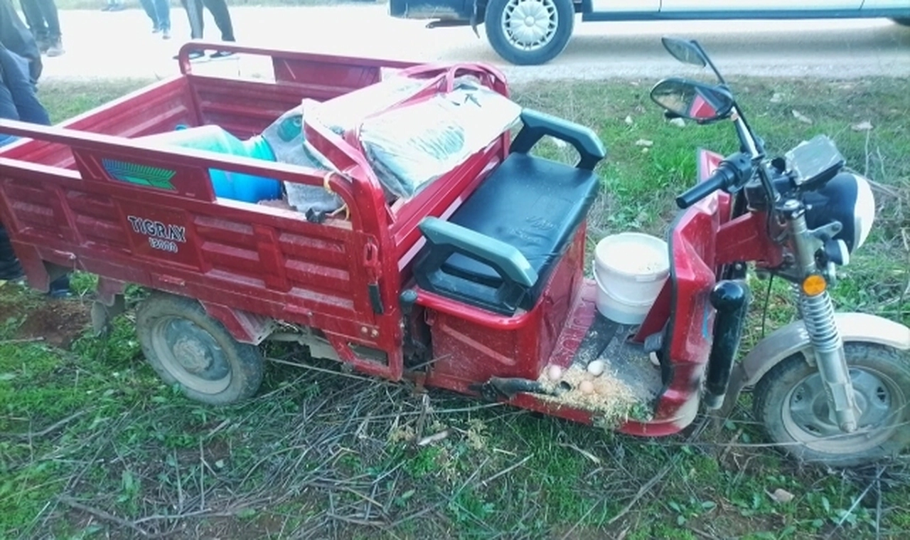 İzmir'de zeytin ağacına çarpan elektrikli motosikletteki 2 kız kardeş öldü