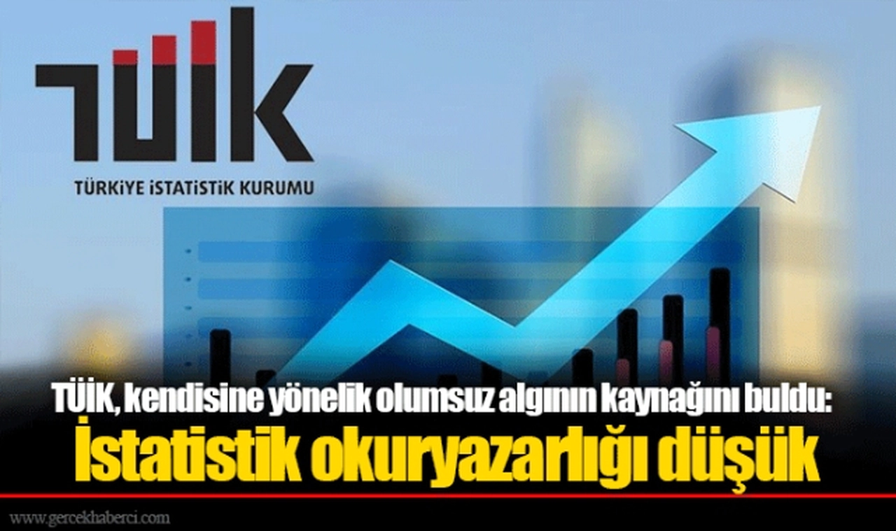 TÜİK, kendisine yönelik olumsuz algının kaynağını buldu: İstatistik okuryazarlığı düşük