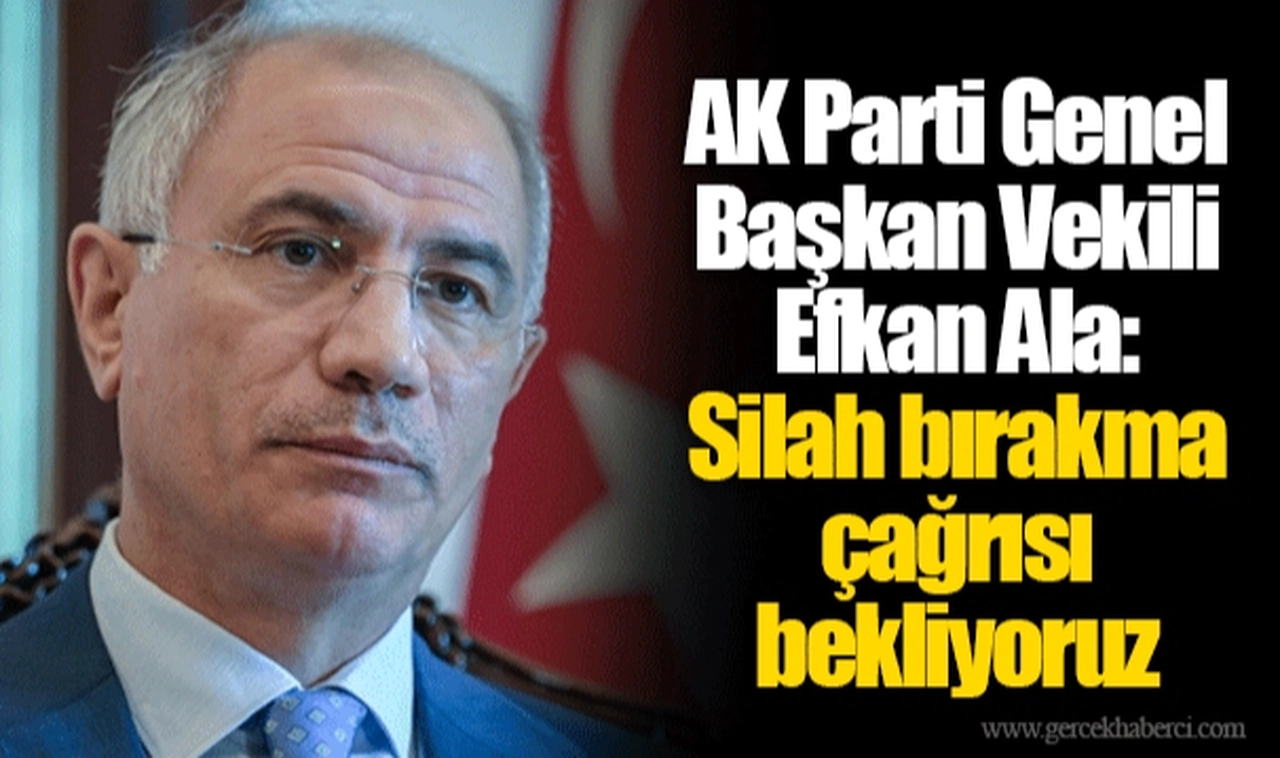 AK Parti Genel Başkan Vekili Efkan Ala: Silah bırakma çağrısı bekliyoruz