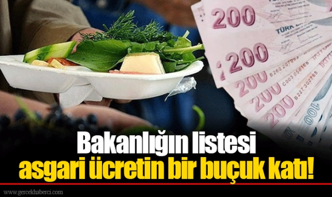 Bakanlığın listesi asgari ücretin bir buçuk katı!